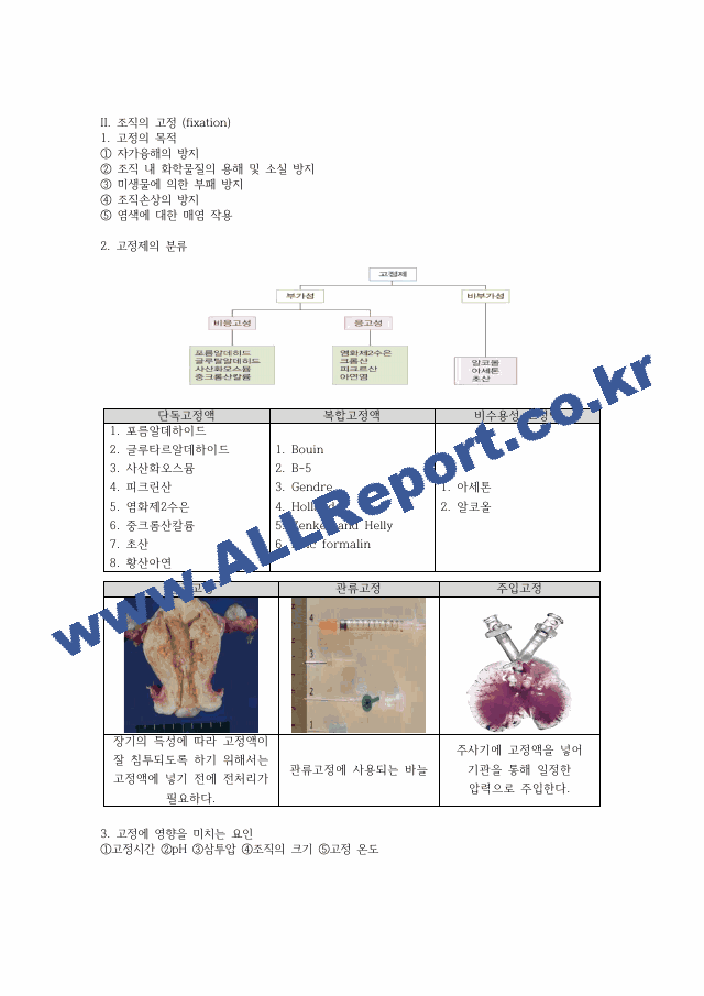 조직 표본 제작 과정 레포트   (4 )